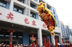 醒狮贺岁，半岛在线注册-半岛(中国)2019年开工大吉