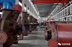 半岛在线注册-半岛(中国)被评为2019年度三水区骨干企业